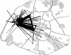 A teoria da deriva, de Guy Debord, além de principal procedimento situacionista, é o fundamento das hipóteses acerca de uma cidade situacionista. Paul-Henry Chombart de Lauwe, Trajets pendant um na dúne jeune fille du XVIe arrondissement [trajetos relizad [Mark WIGLEY, Catherine de ZEGHER (ed.). The Activist Drawing. Retracing Situacoinist Archi]