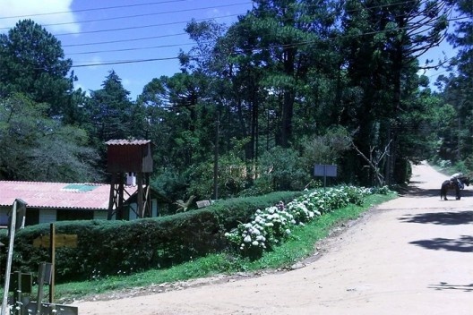 Imediações do hotel Cabeça de Boi, Monte Verde, Camanducaia MG<br />Foto Abilio Guerra 