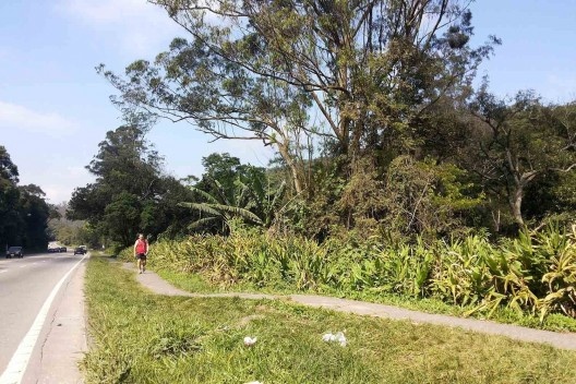 Parque Natural do Pedroso, atual situação, Santo André SP<br />Foto Arthur Ribeiro Molinari 