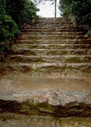 Fig. 8 - As escadas drenantes, limitando os lotes, controlam o escorrimento pluvial
