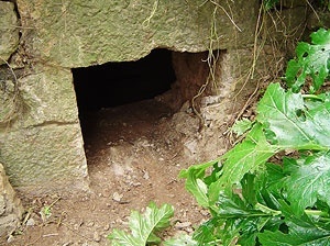 Fig. 12 - Boca de entrada de cisterna do viaduto mais alto, difícil de localizar por encontrar-se coberta pela vegetação.