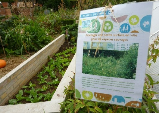 Bercy Park: Hortas durante a Festa dos Jardins: educação, recreação e contato direto com a natureza. <br />Foto Cecilia Herzog 