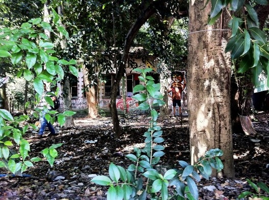 Vegetação e área permeável no futuro (talvez) Parque Augusta, São Paulo<br />Foto Abilio Guerra 