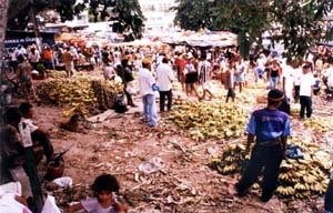 Vista geral da Feira da Prata<br />Foto Mariana Dias Vieira 