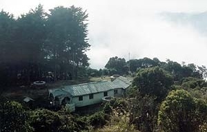 Pico Cuba, Parque Nacional Pico Turquino [www.cybertruffle.org.uk]