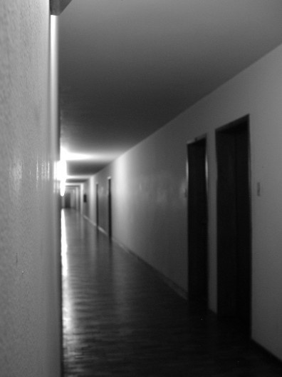 <br />Foto Carlos Teixeira 