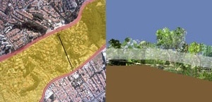 Rede. O local e o metropolitano, e a rede atravessando a extensão do parque