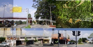 Rede. A rede atravessando a Raposo Tavares, o parque e a Eliseu de Almeida