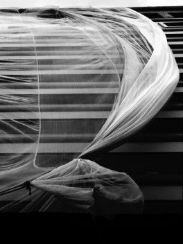 Véus. Exposição de fotografias de Thales Leite