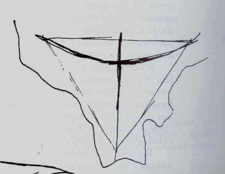 Imagem 1. Croqui do partido adotado para o Plano Piloto, feito por Lúcio Costa [Memorial do plano-piloto. 1ª ed. Brasília, Módulo Arquitetura. S.d..]