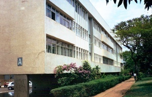 ‘cerca viva’