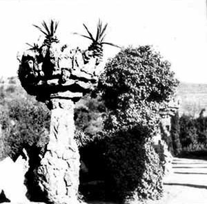 Parque Güell, Barcelona, Arquiteto Antoni Gaudí<br />Foto Lina Bo Bardi 