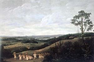 Paisagem Brasileira, Frans Post. Óleo sobre madeira [Metropolitan Museum of Art, Nova York]