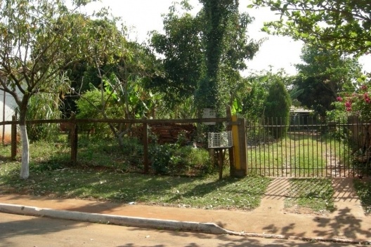 Pomar localizado na frente do lote em Pitangueiras/PR<br />Foto das autoras 