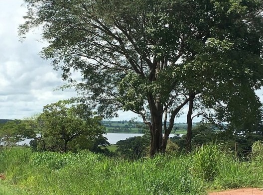 Paisagem paulistana com cheiro de frango assado<br />Foto André Luiz Joanilho 