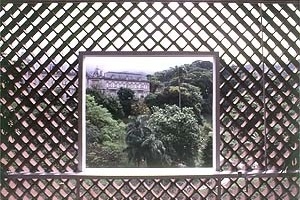 <br />Foto Nelson Kon 