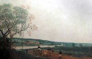 Carro de boi, Frans Post, 1638. 95 cm x 62 cm [Museu do Louvre, Paris]
