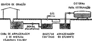 Biodigestor de Sistema Contínuo