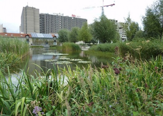 Parque Martin Luther-King Park: Oferece uma variedade de ambientes que conciliam biodiversidade, drenagem natural e filtragem das águas das chuvas, recreação e hortas para estudantes. <br />Foto Cecilia Herzog 