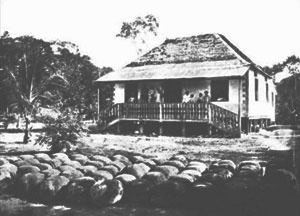 Figura 7: Casa no Seringal Vista Alegre - Amazônia Brasileira [COSTA, 2002]
