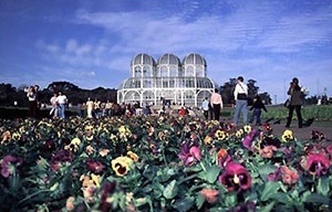 Jardim Botânico, com Ópera de Arame ao fundo, plano de bosques da década de 90, Curitiba [IPPUC]