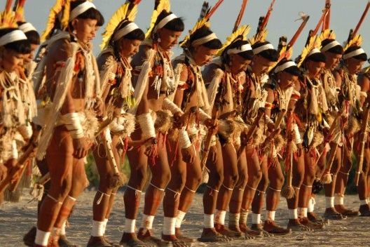 Ritual Yaokwa do povo indígena Enawere Nawe, Mato Grosso MT<br />Foto Marcus Malthe  [Acervo Iphan]