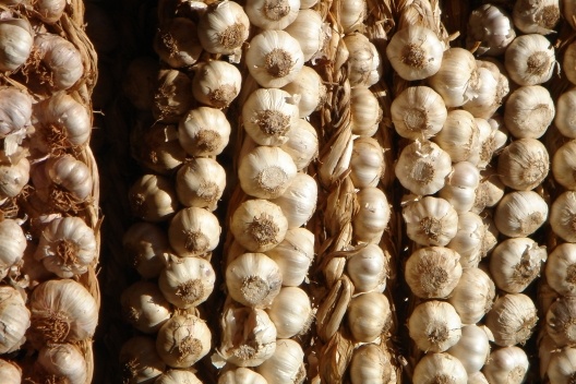 Feira do Gama [Acervo Iphan]
