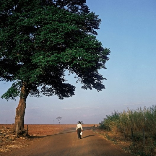 Fotografia do livro “Caminhando com Portinari”<br />Foto Alan Nielsen  [divulgação]