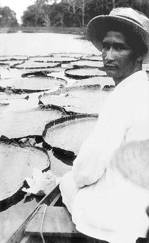 Mário de Andrade, "Na lagoa de Amanium / Perto do Igarapé de Barcarena / Manaus / Minha obra prima", fotografia, 7 junho 1927 [Acervo Arquivo Mário de Andrade, IEB USP]
