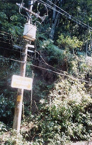 Figura 7. Influência da abertura da estrada e da iluminação pública sobre uma encosta, destacando-se área de deslizamento recente. Estrada da Vista Chinesa, Maciço da Tijuca [acervo pessoal]