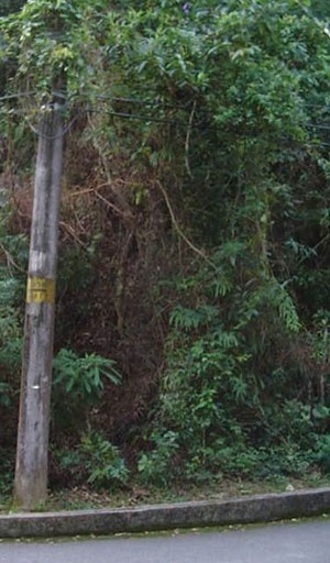 Figura 7. Influência da abertura da estrada e da iluminação pública sobre uma encosta, destacando-se área de deslizamento recente. Estrada da Vista Chinesa, Maciço da Tijuca [acervo pessoal]