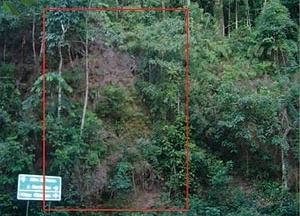 Figura 7. Influência da abertura da estrada e da iluminação pública sobre uma encosta, destacando-se área de deslizamento recente. Estrada da Vista Chinesa, Maciço da Tijuca [acervo pessoal]