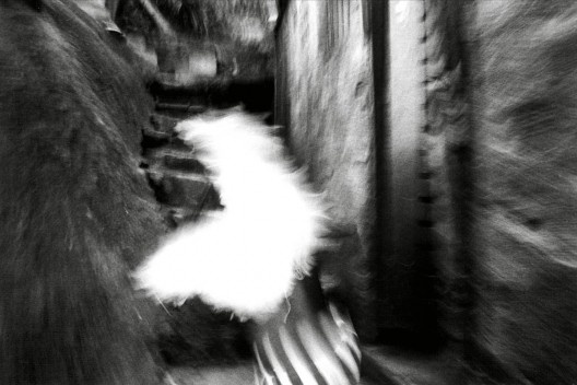 Exposição fotográfica Santa Marta dos Anjos <br />Foto Marco Terranova 