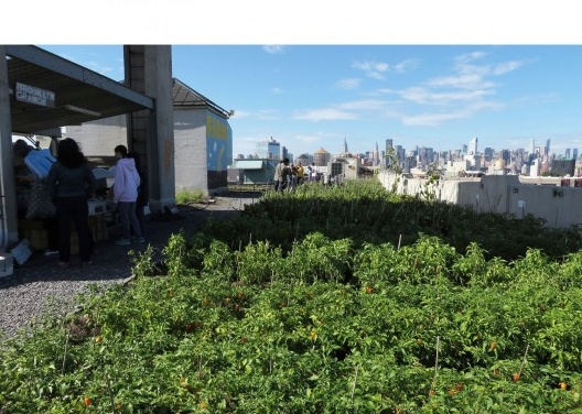 Vista da fazenda Brooklyn Grange em um teto no bairro do Queens, em Nova York: outubro passado emum sábado de manhã. A feira está no lado esquerdo e a vista de Manhattan ao fundo. <br />Foto Cecilia Herzog 