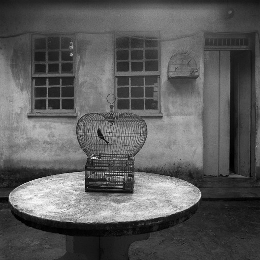 Gaiola no quintal, Salvador BA, 1991<br />Foto Cristiano Mascaro 