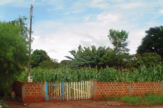 Destinação de lote exclusivamente a cultivos agrícolas em Ângulo/PR<br />Foto das autoras 