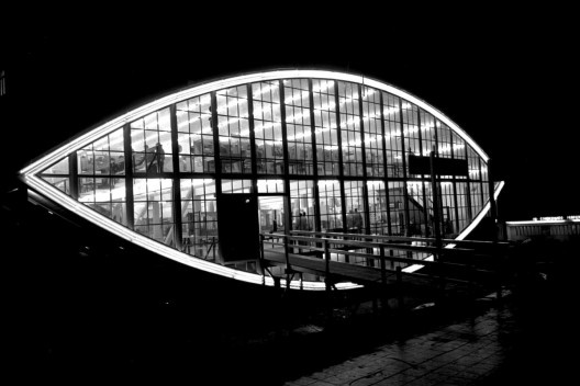 Explorando o efeito noturno, a fotografia realça a forma insólita do Mata-borrão [Acervo João Alberto Fonseca da Silva/ UniRitter]