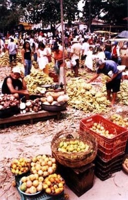 Frutas e verduras na Feira da Prata<br />Foto Mariana Dias Vieira 
