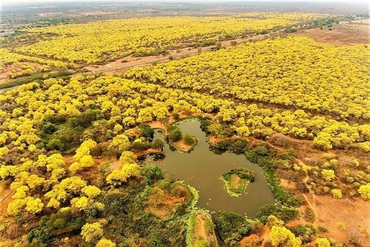 Jardim Botânico de Maracaibo