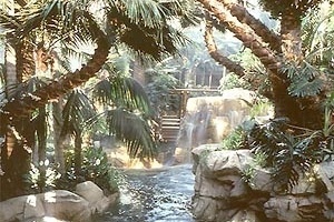 Mirage Hotel Casino, Las Vegas