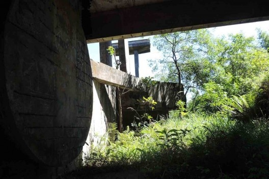 Parque Natural do Pedroso, atual situação, Santo André SP<br />Foto Arthur Ribeiro Molinari 