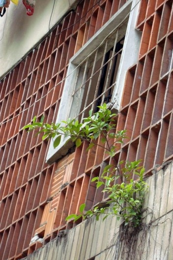 Conjunto Residencial Prefeito Mendes de Moraes ou Pedregulho – RJ. Projeto de Affonso Eduardo Reidy, 1947<br />Foto Cecilia Rodrigues dos Santos, janeiro 2010 