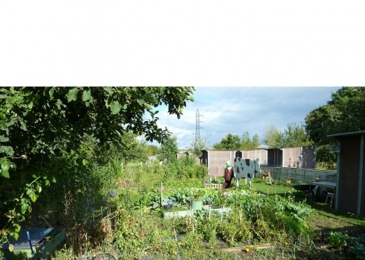 “Jardin Familliaux et Colectifs” (Jardim Familiar e Coletivo): esse é perto do Parque Chemin de l´Île Park que fica ao longo do Sena, em Nanterre – uma cidade vizinha de Paris. As hortas ficam sob as linhas de transmissão de energia, com os allotment gard<br />Foto Cecilia Herzog 