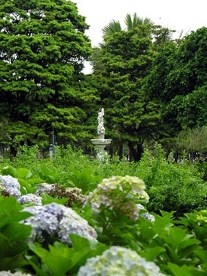 Praça da Liberdade. Vegetação e fonte<br />Foto Benedito Tadeu de Oliveira 