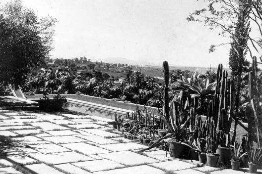 Casa da rua Santa Cruz, jardim com grupo de cactáceas, São Paulo SP. Gregori Warchavchik, 1927-28 [Acervo Gregori Warchavchik]