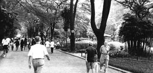 Parque Piqueri, São Paulo