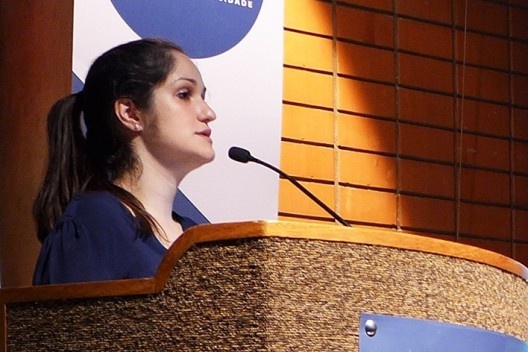 Apresentação de Fernanda Critelli, Encontro Núcleo Docomomo-SP 2015<br />Foto André Marques 