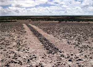 Richard Long, "A line in the Bolivia", 1981 [www.richardlong.org]