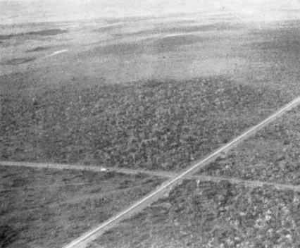 Vista aérea do eixos em construção [Acervo Fundação Oscar Niemeyer]