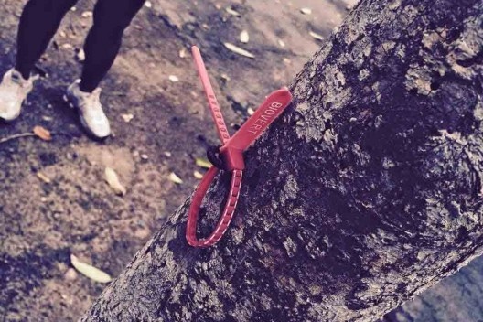 Ação de grupos de proteção ao Parque do Flamengo<br />Foto divulgação  [Acervo Sonia Rabello]